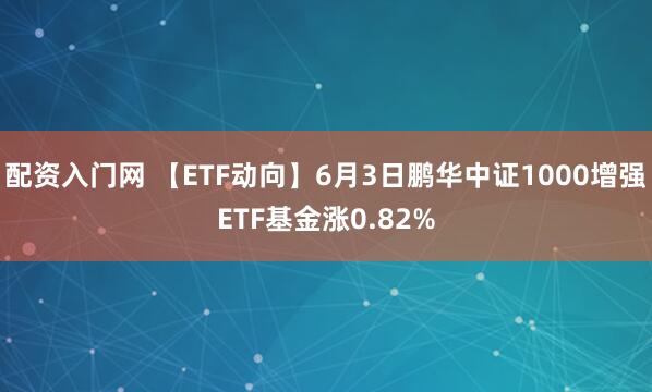 配资入门网 【ETF动向】6月3日鹏华中证1000增强ETF基金涨0.82%